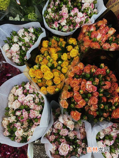 花的种类,花的种类有哪些？