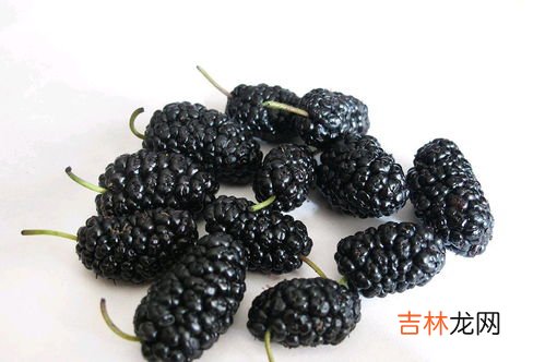 黄精能长期泡水喝吗,银杏黄精茶能长期喝吗 银杏黄精茶可以一直喝吗