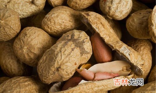 绿豆怎么发芽,怎样让绿豆发芽
