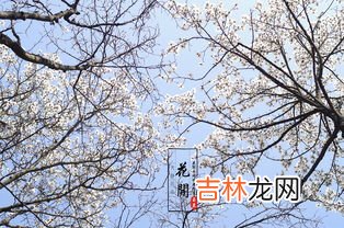 花开的时候最珍贵什么歌,女生唱的歌的第一句歌词是花开的时候最珍贵歌曲