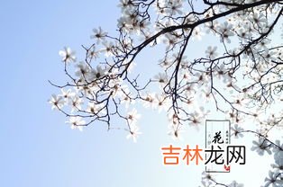 花开的时候最珍贵什么歌,女生唱的歌的第一句歌词是花开的时候最珍贵歌曲