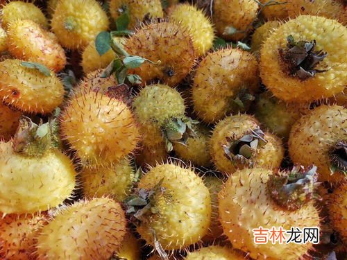 新鲜刺梨怎么处理,刺梨子怎么吃 刺梨子可以怎么吃