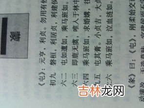 稚初什么意思,予始稚初是什么意思？