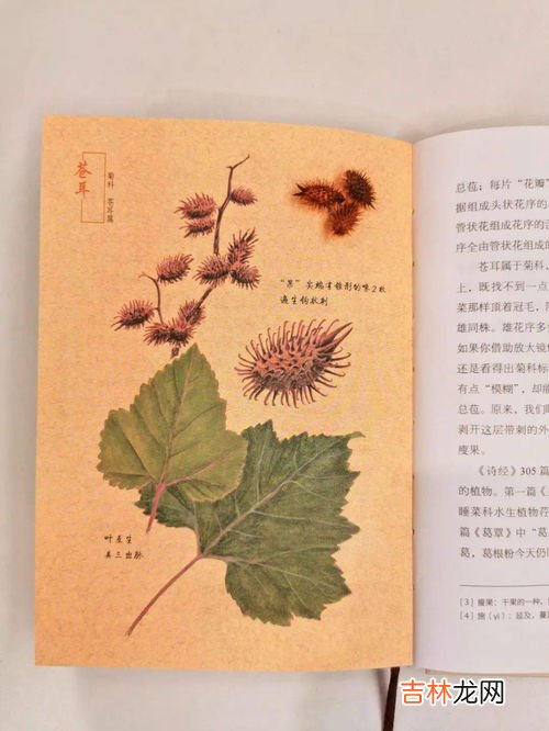稚初什么意思,予始稚初是什么意思？