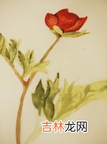 花骨朵儿的拼音,花骨朵儿的拼音怎么？