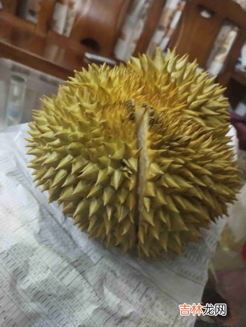 榴莲没开口是不是没熟,榴莲没开口是不是没熟