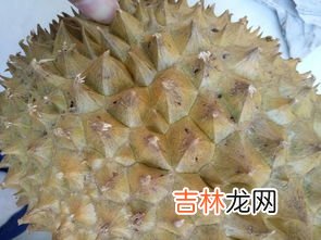榴莲没开口是不是没熟,榴莲没开口是不是没熟
