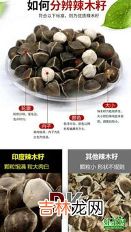 辣木籽价格,辣木籽一斤多少钱?