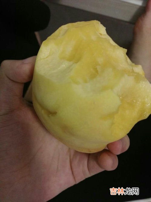 黄桃和水蜜桃哪个热量高,黄桃的热量高吗 黄桃和苹果哪个热量高