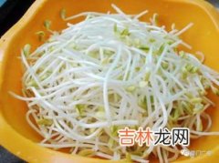 豆芽多久能煮熟,豆芽煮多久能熟 黄豆芽煮多长时间能熟