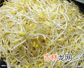 豆芽多久能煮熟,豆芽煮多久能熟 黃豆芽煮多长时间能熟