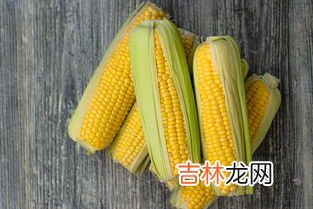 割完了玉米什么时候撒尿素好,玉米什么时间追施尿素