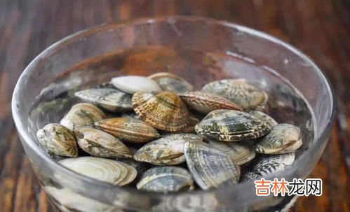花蛤怎么洗才能把沙子全吐出来,如何清洗能让花蛤把沙子吐干净?