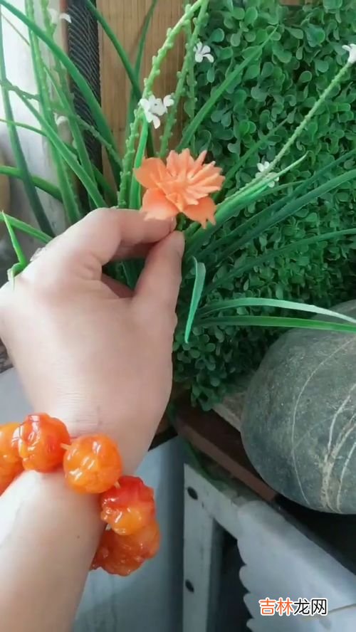 胡萝卜中间发绿能吃吗,胡萝卜心变绿能吃吗