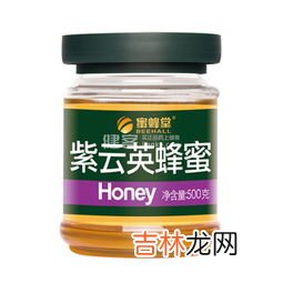 集蜂堂洋槐蜜多少钱,房蜂堂蜂蜜洋槐蜜500克多少钱