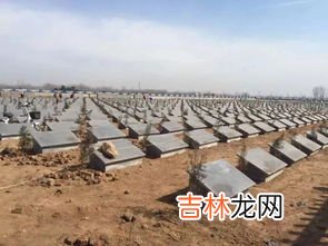 公益性公墓和经营性公墓的区别,骨灰堂与经营性公墓和公益性公墓的区别