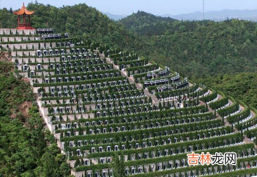 公益性公墓和经营性公墓的区别,骨灰堂与经营性公墓和公益性公墓的区别