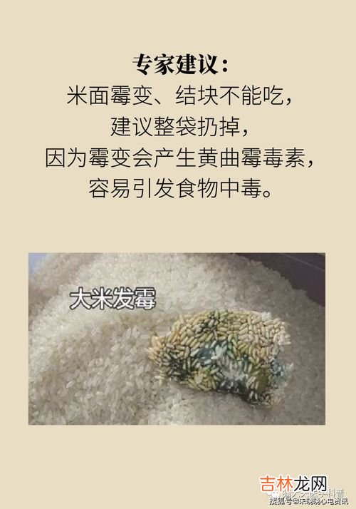 米生了蛾子还能吃吗,米里面有飞蛾还能吃吗