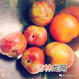 李子不能和什么食物一起吃,李子和什么食物不能一起吃？