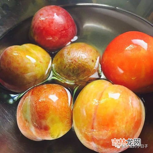 李子不能和什么食物一起吃,李子和什么食物不能一起吃？