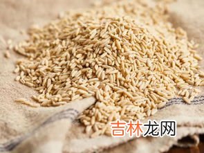 燕麦米可以直接煮饭吗,燕麦米怎么做饭吃-燕麦米直接蒸米饭可以吗