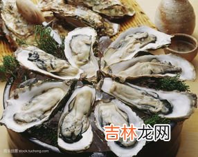 生蚝生吃好不好,牡蛎可以生吃吗