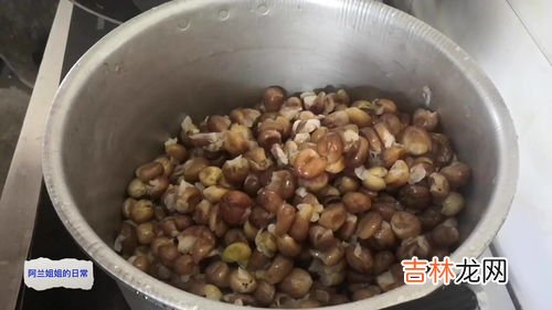 黄皮干制作方法,蜂蜜黄皮干的制作方法