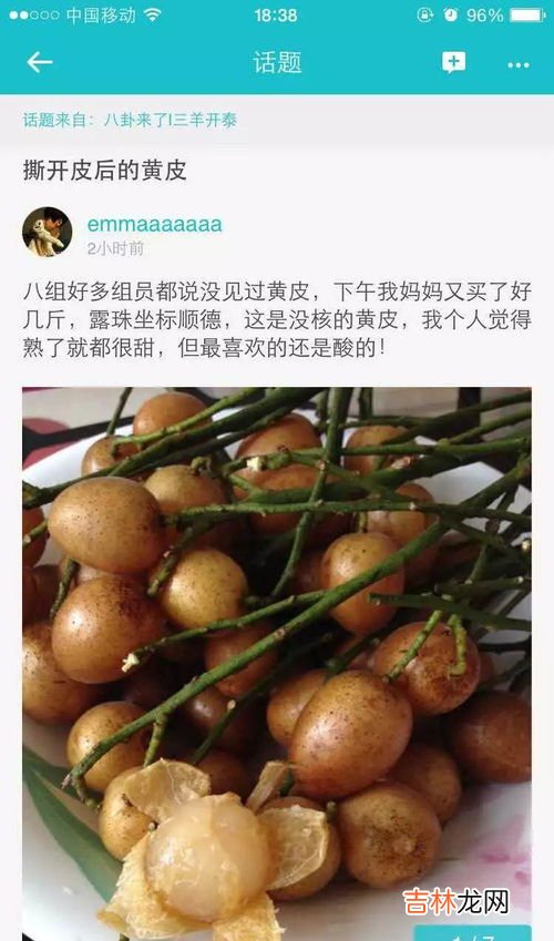 黄皮干制作方法,蜂蜜黄皮干的制作方法