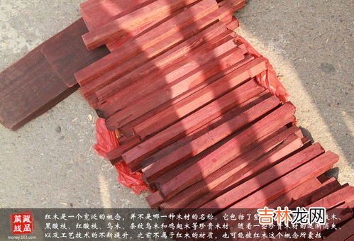 红酸枝是什么木头,什么树的木头是红木？