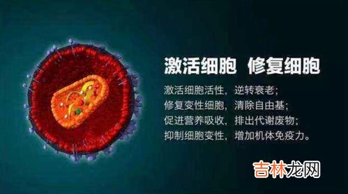 善肽堂小分子肽价格,小分子肽多少钱一盒