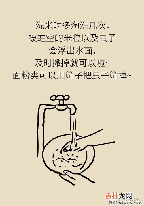 米面生虫子了还能吃吗,放了几年的粘米面长虫子能吃不