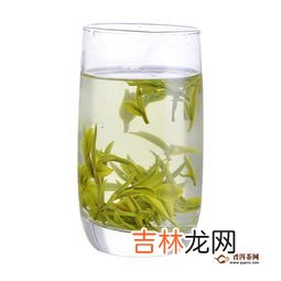 黄山毛峰属于什么茶,黄山毛峰是什么茶