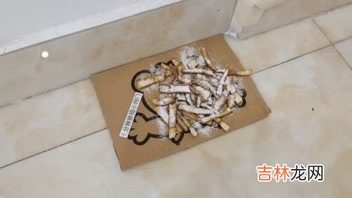 用香蕉皮怎么灭蟑螂,蟑螂怎么消灭最彻底小妙招