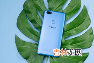 步步高为什么改成维沃,步步高和vivo和oppo什么关系