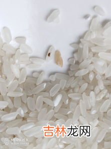 大米发霉了洗干净还能吃吗,大米轻微发霉洗干净还能吃吗 大米轻微发霉洗干净以后能不能吃
