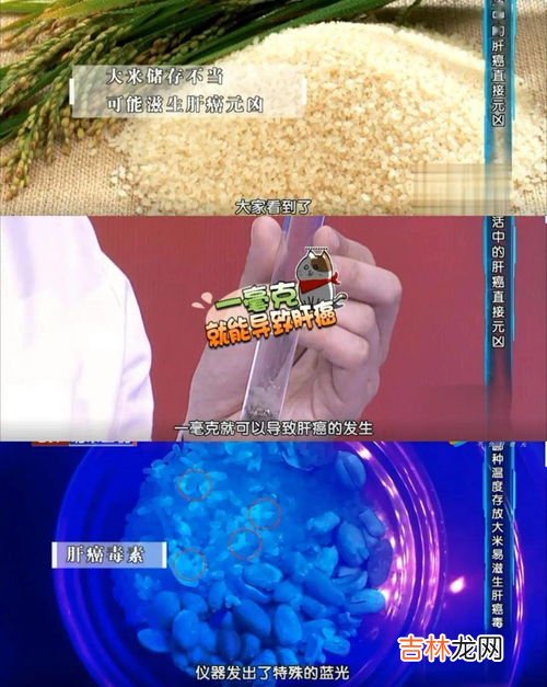 大米发霉了洗干净还能吃吗,大米轻微发霉洗干净还能吃吗 大米轻微发霉洗干净以后能不能吃