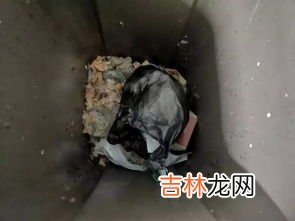 湿垃圾是什么,什么是湿垃圾