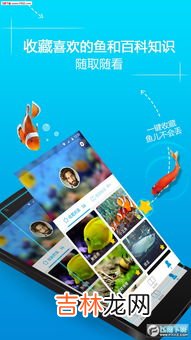 养鱼赚钱吗风险大吗,承包鱼塘挣钱吗，一亩鱼塘放四大家鱼苗的比例