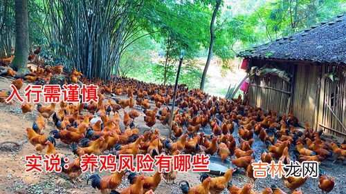 养鱼赚钱吗风险大吗,承包鱼塘挣钱吗，一亩鱼塘放四大家鱼苗的比例