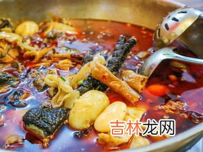 香鸡猴头粉的功效,猴头菇的功效与营养价值？