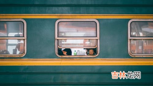 绿皮火车可以带宠物吗,狗能坐绿皮车吗