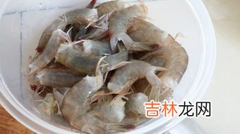 虾和青菜可以一起吃吗,虾跟青菜能一起吃吗