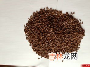 玛咖片怎么吃效果好,玛卡片饭前吃还是饭后吃？
