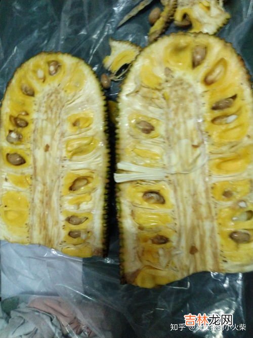 菠萝蜜的胶粘在手上怎么洗掉,菠萝蜜的汁液弄在手上粘粘的怎么清洗?
