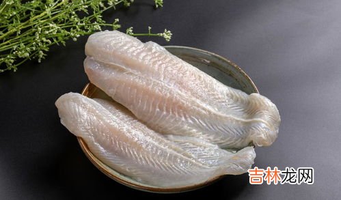 巴沙鱼和龙利鱼的区别,龙利鱼和巴沙鱼主要有什么不同