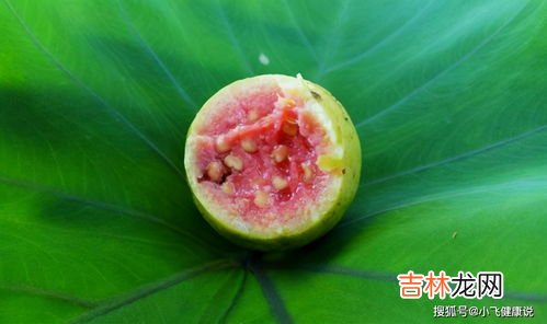 番石榴叶的功效与作用,番石榴叶的功效与作用及禁忌