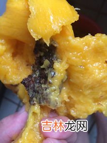 切开的芒果可以过夜吗,切开的芒果可以过夜吗
