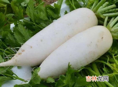 白萝卜和红萝卜能一起吃吗,白萝卜和红萝卜可以一起使用吗
