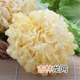 白木耳是银耳吗,白木耳和银耳的区别