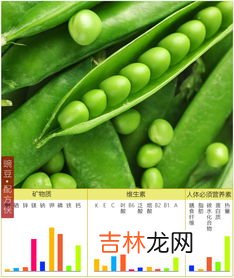 麦豆是什么豆,麦豆是什么豆